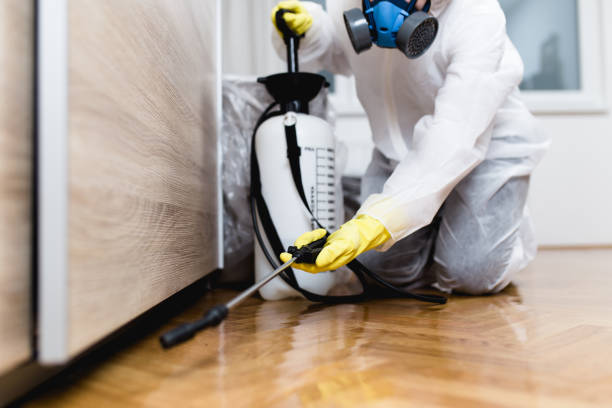 Pest Prevention Services in Lake Elsinore, CA
