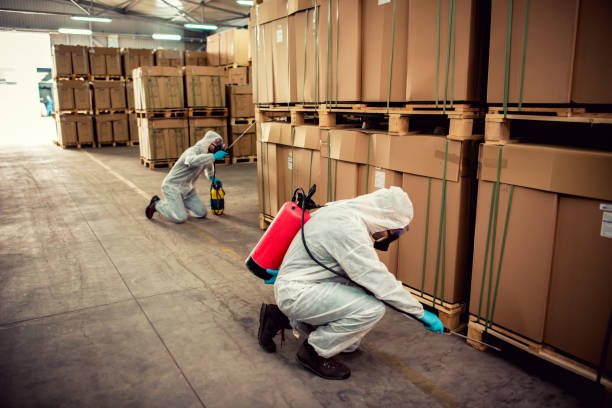 Best Best Pest Control Companies  in Lake Elsinore, CA