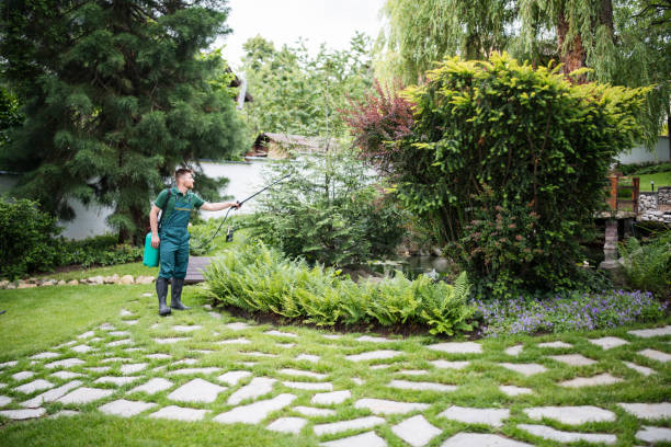 Professional Pest Control in Lake Elsinore, CA