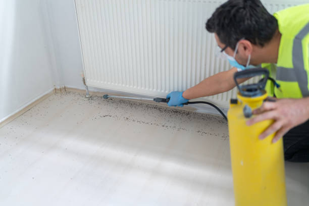 Best Emergency Pest Control  in Lake Elsinore, CA